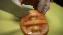 Sharpest Knife in the World Slices Tomato Super Thin