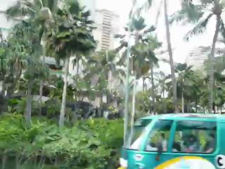 HOHOLULU HAWAII 2013 060