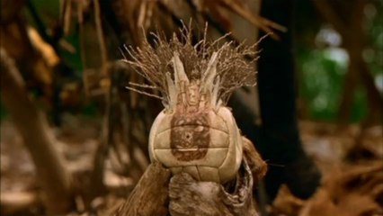 Jerexmee Mix Vol 1 (knife Party live)