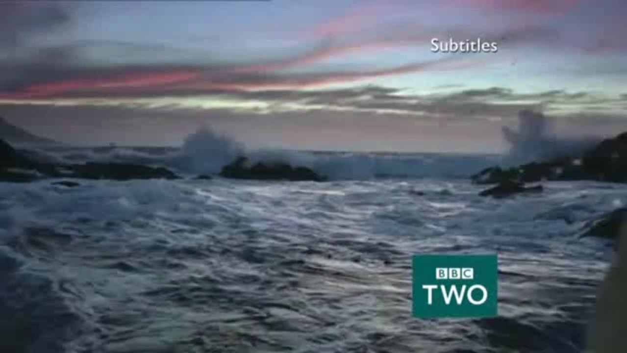 BBC TWO - 2013
