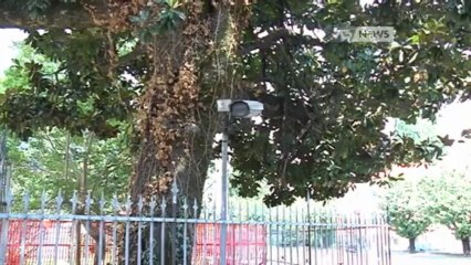 LADRI D'ARMI ASSALTANO LA CASERMA