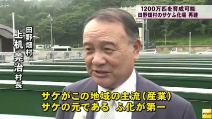 20130709 田野畑村のサケのふ化場再建、竣工式開かれる(岩手)