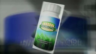 Best Probiotics for sale from Amazon