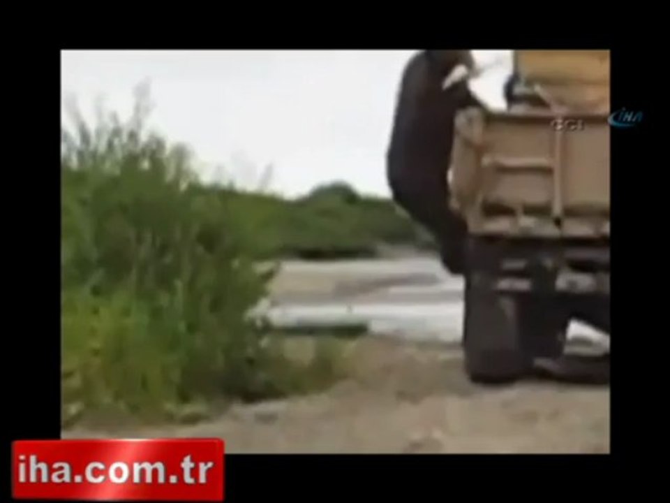 Aç ayı kamyona böyle tırmandı