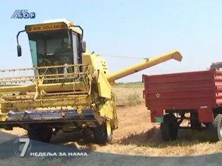 Info 7 (pregled nedelje), 13. jul 2013.