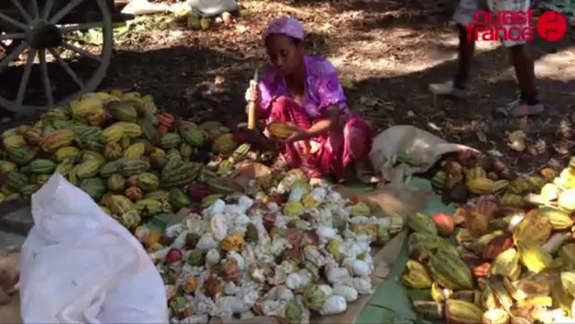 Madagascar. De la vallée de l'Ankarana à l'Océan indien