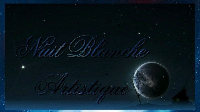 3eme NUIT BLANCHE ARTISTIQUE BIARRITZ 2013