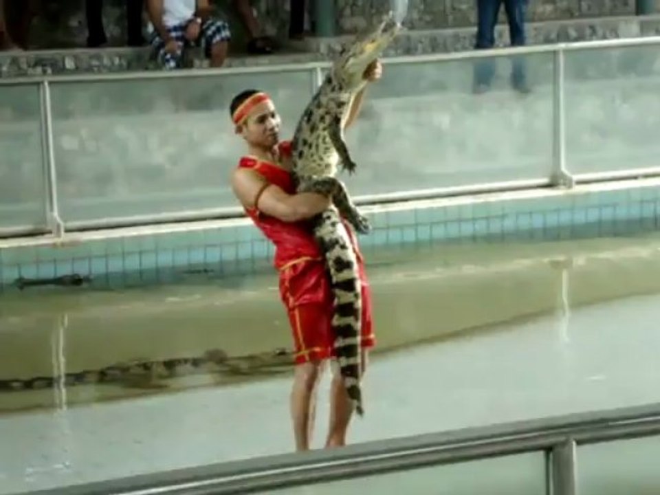 Pattaya Timsah Çiftliği