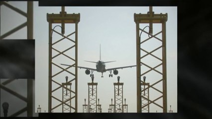 Flowtron BK-80D Electronic Bug Zapper