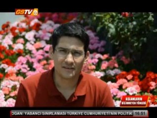 Aslanların Bilinmeyen Yönleri