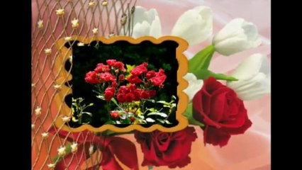 - OPERETT HATÁROK NÉLKÜL :) -