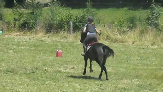 Concours complet, les centaures (cross) Manon et Histoire