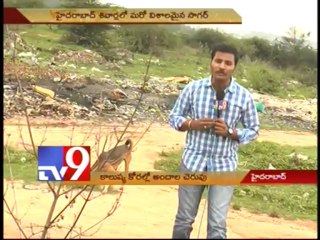 Fox Sagar lake losing its beauty!