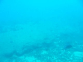 HOHOLULU HAWAII 2013 044