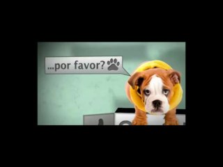 DOUGLAS,FIZ UM BOLO PRA VOCÊ