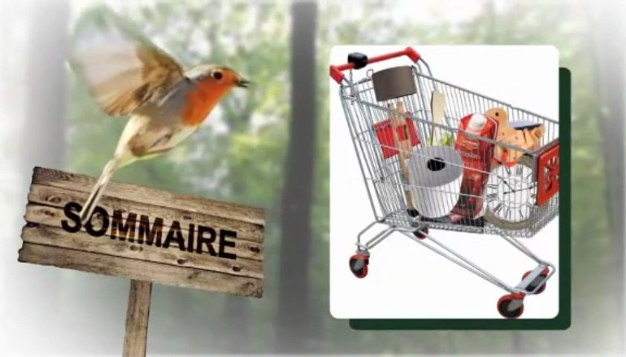 Sous l'arbre, le mag-info de nos forets - n°2