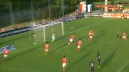 Grégory Sertic Goal (SL Benfica 1-1 Bordeux) 14/07/2013