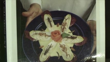 Les insectes passent à table !