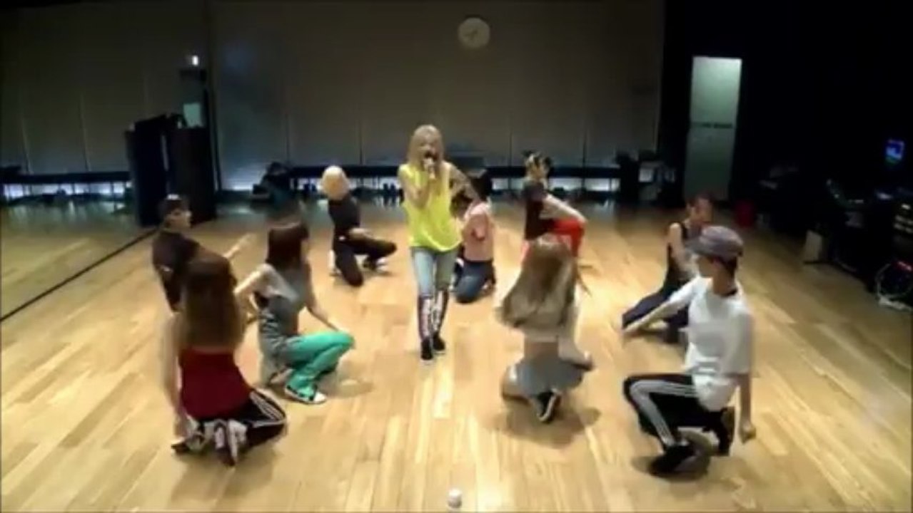 2NE1 - Falling in Love mirror ver.