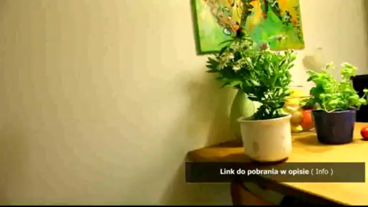 instrukcja obslugi do furby