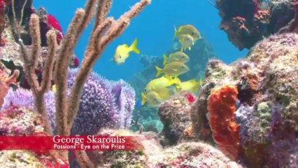 Eye on the Prize - Album: Passions (George Skaroulis)