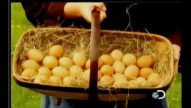 hora dos carros mais bonitos