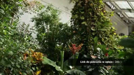 trainer do call of juarez the cartel 1.1.12