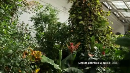 minecraft gift code generator chomikuj pl