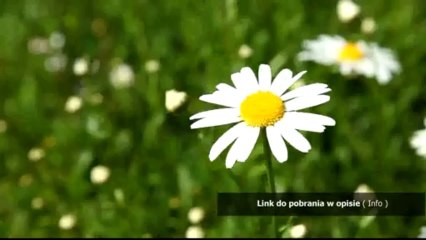 jedz modl sie kochaj pdf