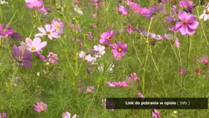 filmy porno w gimnazjum