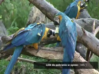 NEW ENGLISH FILE upper intermediate key Student's book