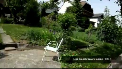 spolszczenie do vcds