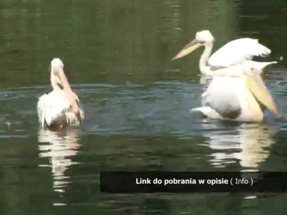 cd key eset nod32 antivirus 5