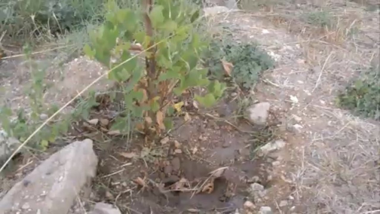 Χρειάζονται τη βοήθεια μας.