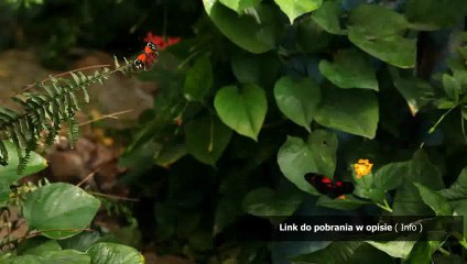 uzupelniony Dziennik praktyk policja