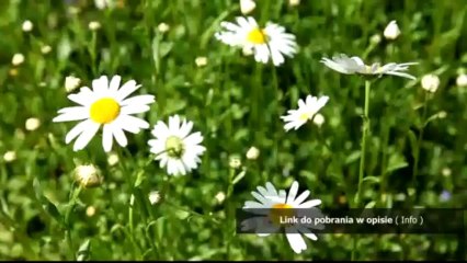 Arka Noego - karaoke Ta piosenka jest dla mamy