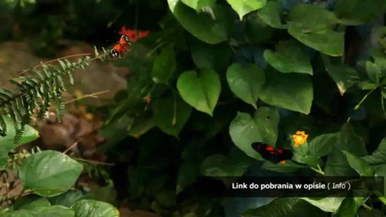dzieciozmagania.pdf