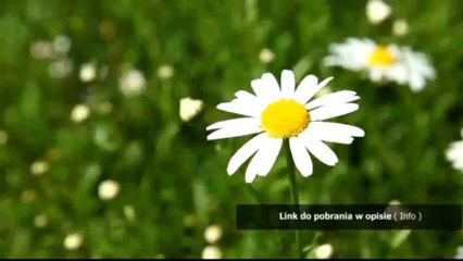 karaluchy jo nesbo pdf