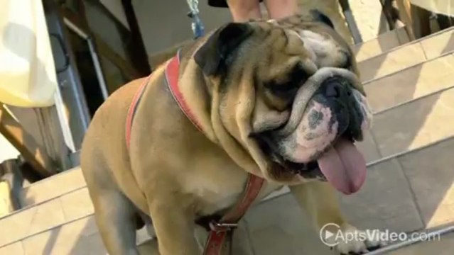 WestHaven at Vinings Apartments in Atlanta, GA - ForRent.com