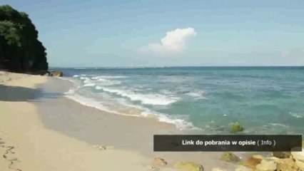 kobieta z koniem sex wideo