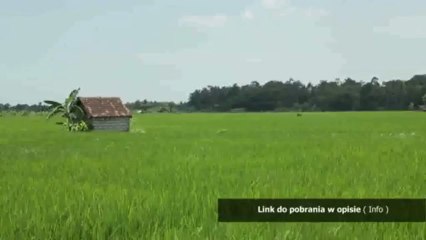 aktualizacja nawigacji goclever