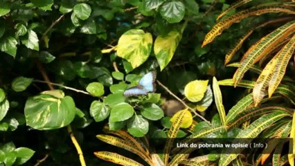 rachunek uproszczony xls