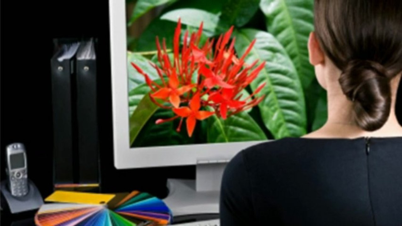 Teaching Online