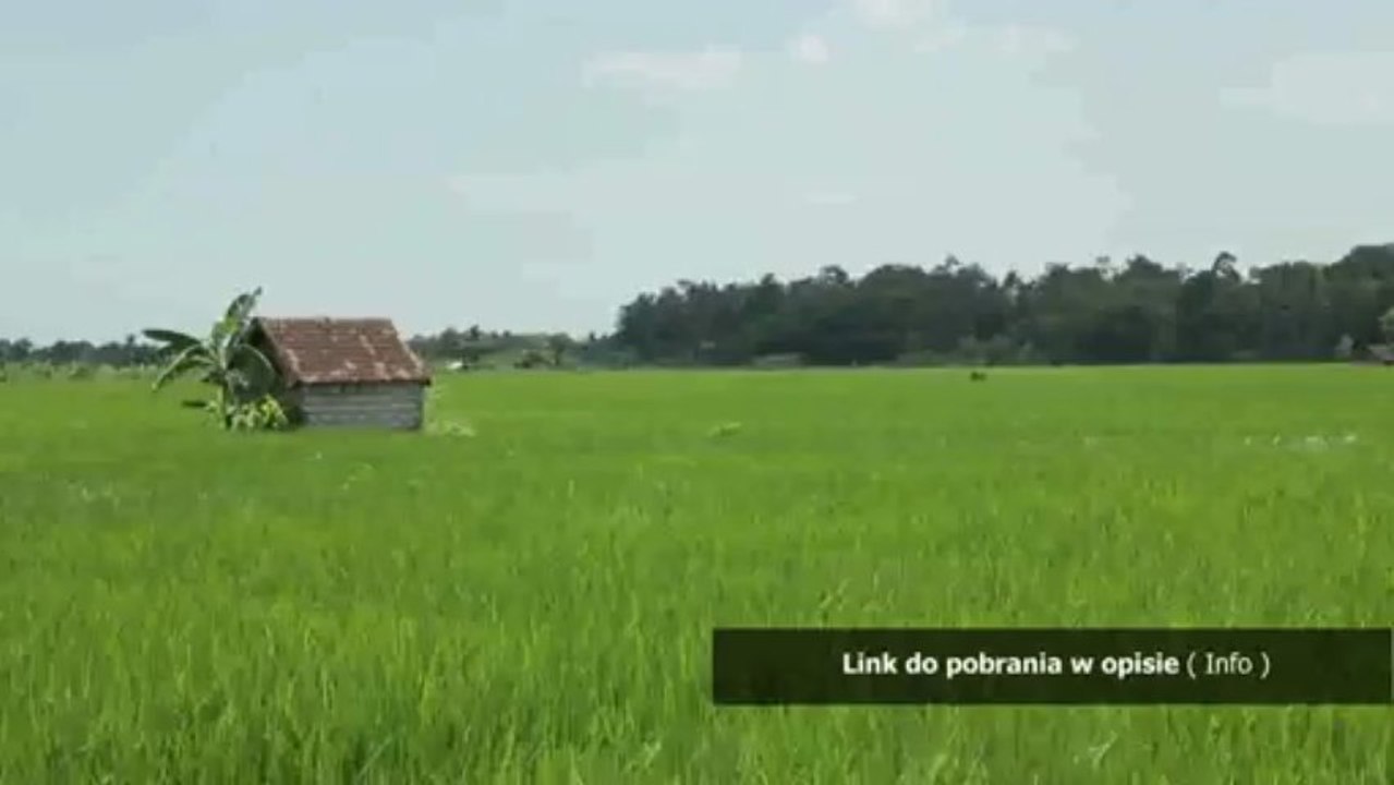 test wechslera dla dzieci chomikuj