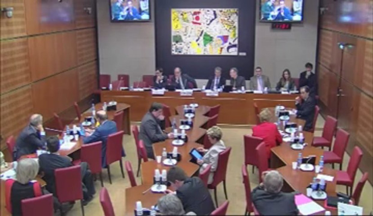12 juin 2013 - Commission des ACE : Question à Pierre Lescure