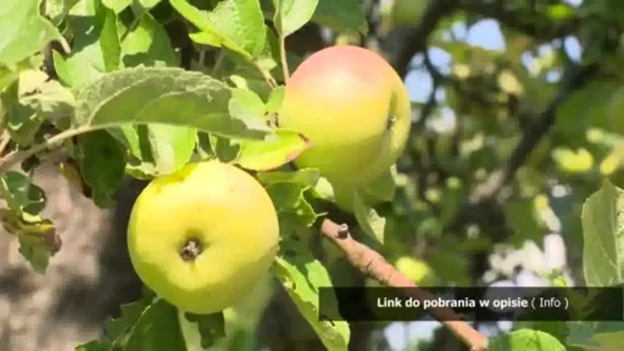 nagie dziewczynki