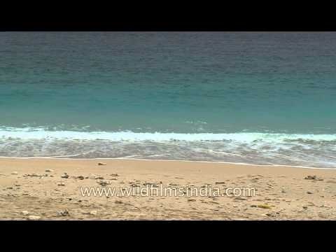 Azure sea kisses Golden white beaches: Andamans