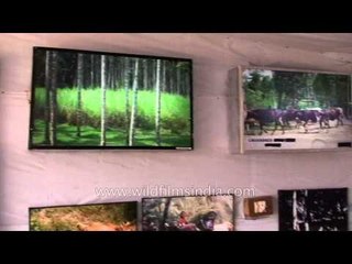 Stall set up by Animal Husbandry Department, Andaman & Nicobar Islands