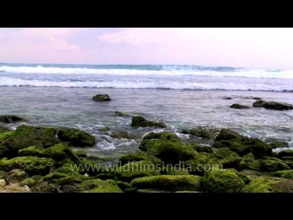 An evening by the beach: Andaman & Nicobar islands
