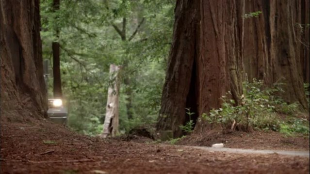 ”I Want To Be Recycled” Campaign to Target the Nearly Two-Thirds (62 Percent) of Americans Who Are Not Avid Recyclers